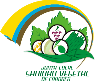 Imagen del post