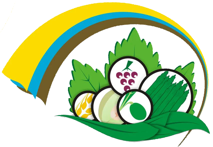 Logo icono