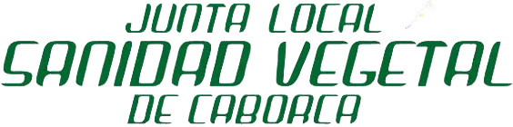 Logo texto