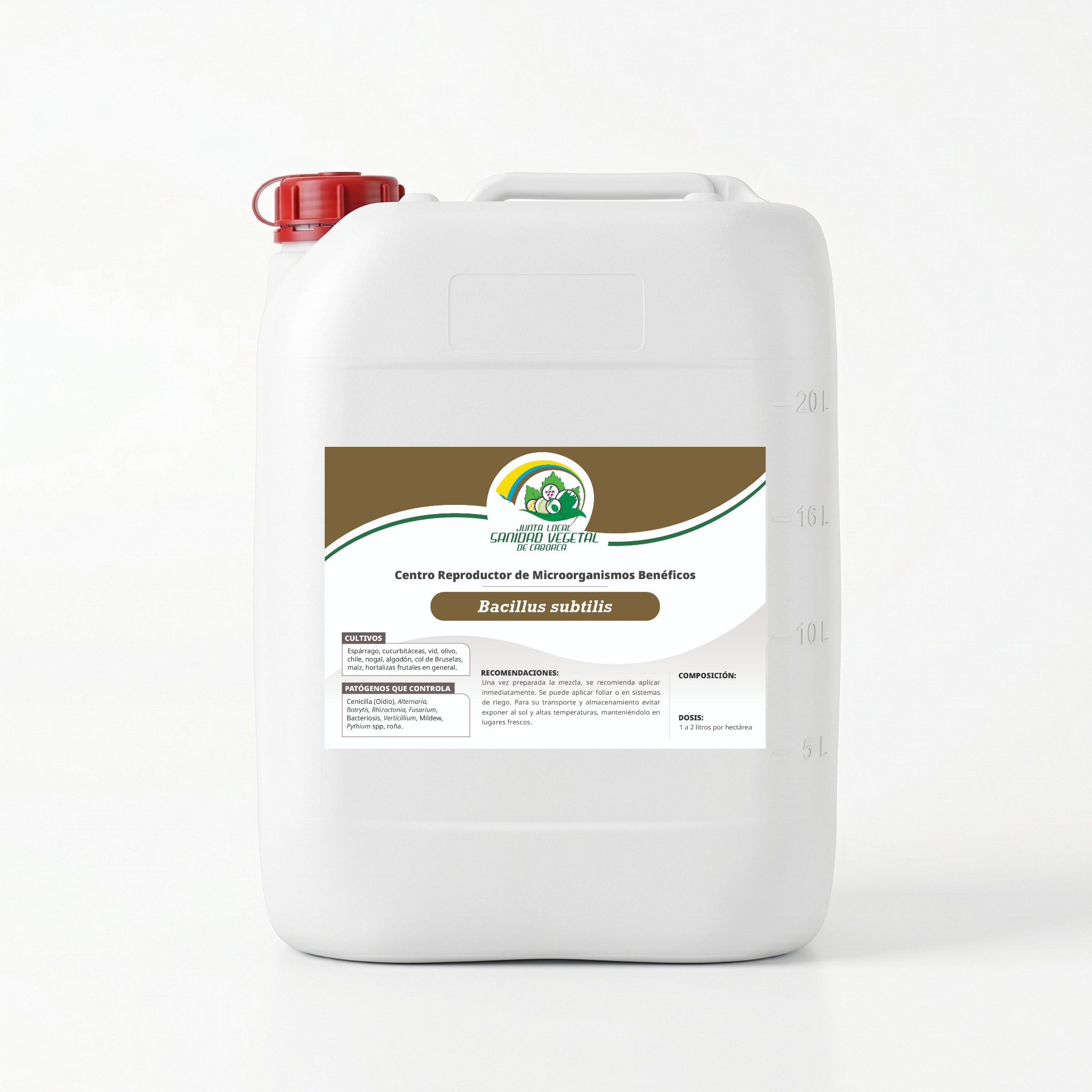 Bacillus subtilis (consorcio)